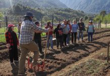 INIA e INDAP impulsan la agricultura sostenible con talleres en Puerto Aysén y Coyhaique