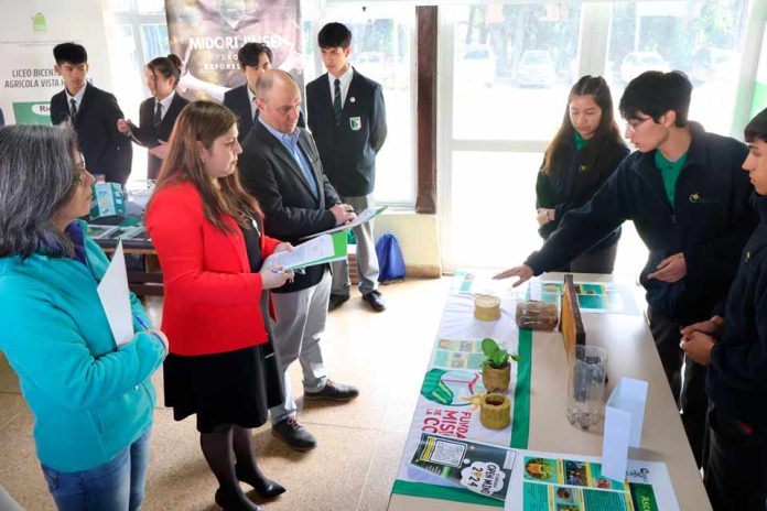 Liceo Bicentenario Quilacahuin se adjudica nueva versión de concurso de innovación Open Mind organizado por Adolfo Matthei