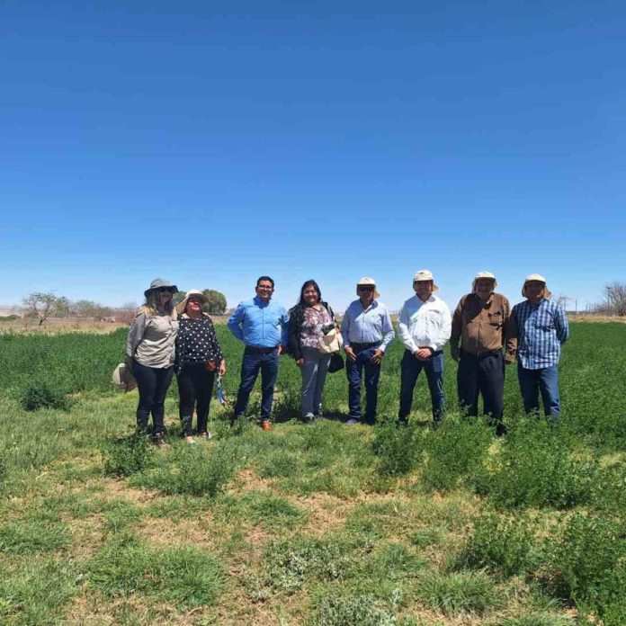 Lomas Bayas y ASAC inauguran modernas instalaciones para impulsar la agricultura en Calama