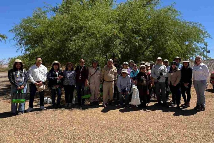 Lomas Bayas y comunidad cosechan los frutos del algarrobo