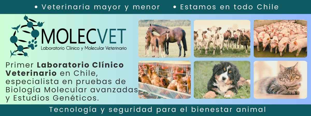 MOLECVET Laboratorio Clínico Veterinario