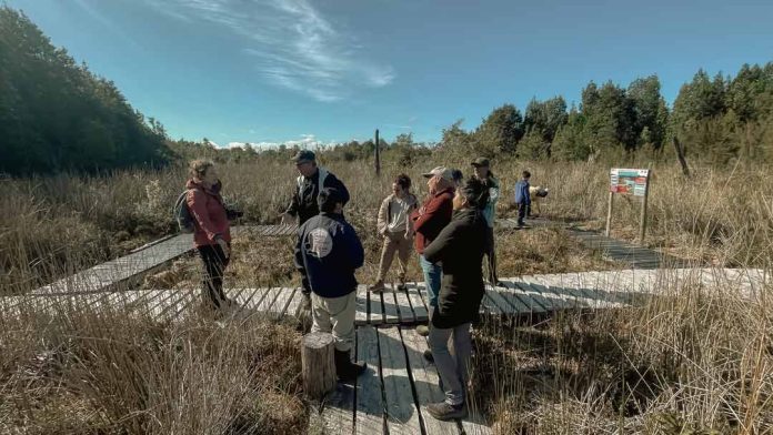 Programa Viraliza de Corfo impulsa iniciativa