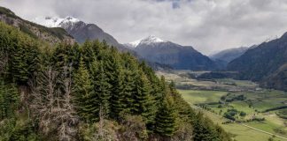 Proyecto Patagonia la inédita iniciativa verde que CMPC presentó en la COP sobre Biodiversidad