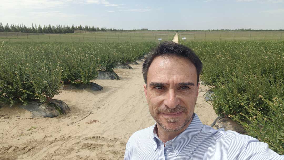 Sergio Lozar de Baccara en Chile: “Queremos sacar nuestro producto de esa zona gris de ser un commodity y darle el lugar que merece”