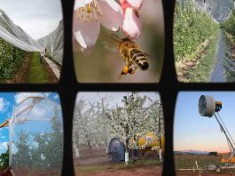 Tecnología para una agricultura inteligente