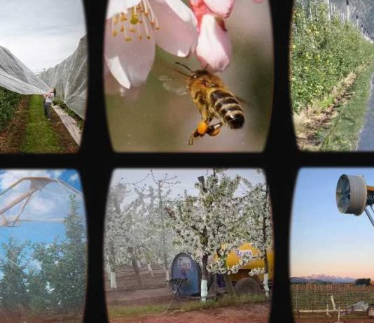 Tecnología para una agricultura inteligente