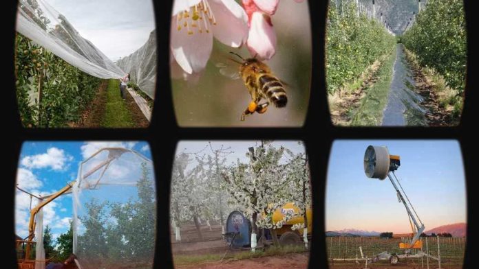 Tecnología para una agricultura inteligente