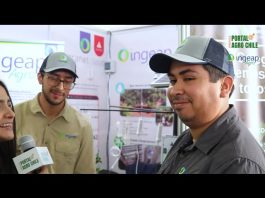 Ingeap Agro presenta soluciones tecnológicas de vanguardia en la Expo Chile Agrícola 2024 Preferencia por sucursales físicas se mantiene en la era digital