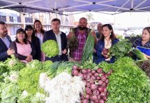 Feria Campesina Biobío reunirá a cerca de 40 pequeños agricultores en San Pedro de la Paz