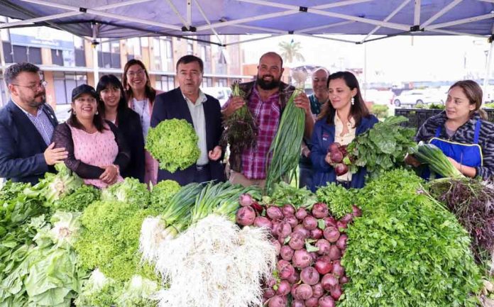 Feria Campesina Biobío reunirá a cerca de 40 pequeños agricultores en San Pedro de la Paz