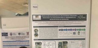 Académica de la USM presenta investigación en Congreso Internacional sobre Biocatálisis