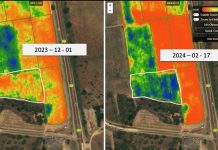 Agricultura Regenerativa en Cultivos de Paltos
