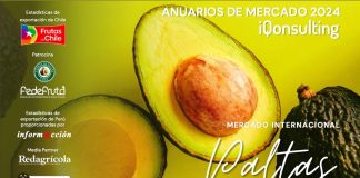 Anuario Internacional de Palta 2024 iQonsulting