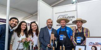 Autoridades inauguran Feria del Vino y Turismo del Valle del Biobío en Concepción