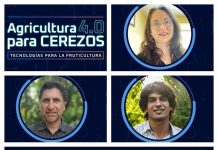 Ciclo de Webinars Agricultura 4.0 para cerezos