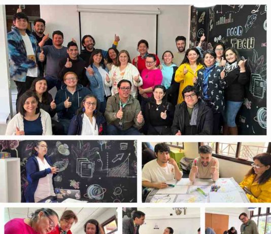 Ciclo de talleres con impacto social y sostenible se ejecutarán en la región de Los Lagos con foco en cooperativas