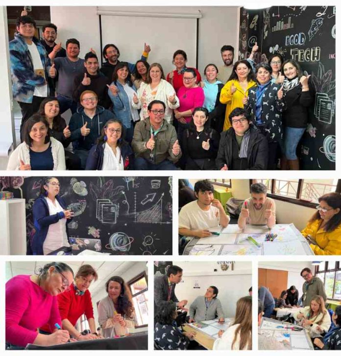 Ciclo de talleres con impacto social y sostenible se ejecutarán en la región de Los Lagos con foco en cooperativas