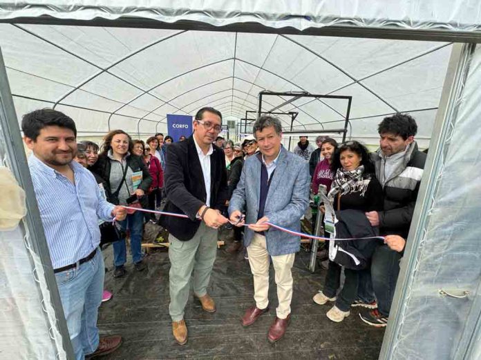 Corfo Los Lagos e INIA Remehue impulsan la agricultura del futuro con programa para modernizar el sector hortícola