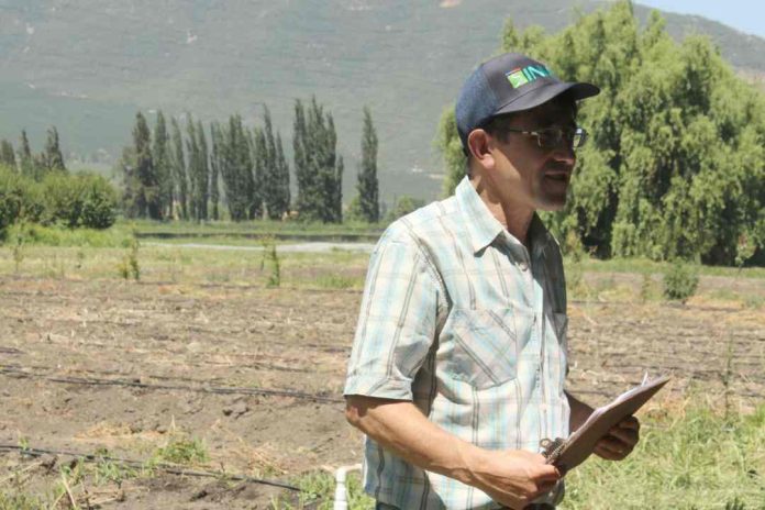 Día de campo aborda cultivos resilientes ante un cambio climático inminente