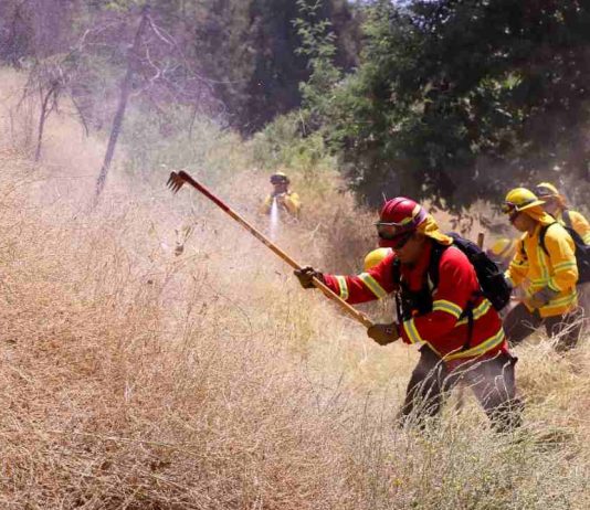 Gobierno lanza plan nacional de cortafuegos para construir más de 3.700 kilómetros de zanjas entre Tarapacá y Magallanes que buscan prevenir incendios