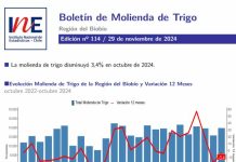 INE Biobío publica cifras de molienda de trigo correspondiente a octubre de 2024