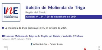 INE Biobío publica cifras de molienda de trigo correspondiente a octubre de 2024