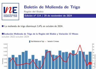 INE Biobío publica cifras de molienda de trigo correspondiente a octubre de 2024