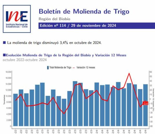 INE Biobío publica cifras de molienda de trigo correspondiente a octubre de 2024