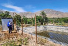 Pequeña agricultora de Peralillo afirma que tranque bonificado por la CNR “permite acumular el agua y organizarme para regar”