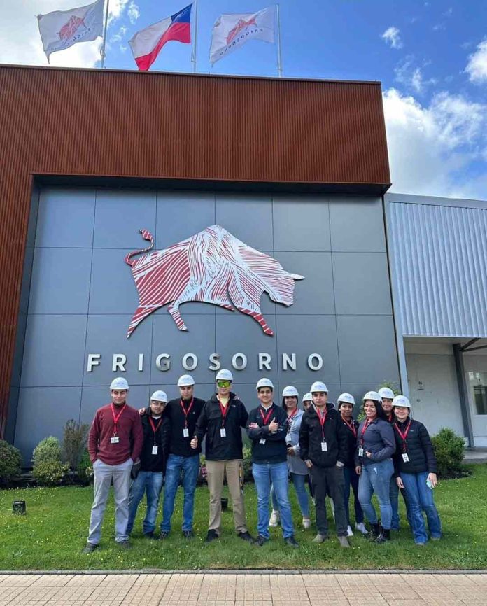 Ingenieros en formación de Adolfo Matthei conocieron más sobre procesos productivos de la industria de la carne en visita al Frigorífico Osorno