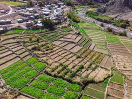 Invitan a participar del I Seminario Internacional LabAncestral que se realizará en Iquique y El Tamarugal