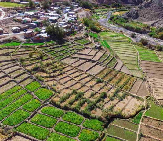 Invitan a participar del I Seminario Internacional LabAncestral que se realizará en Iquique y El Tamarugal