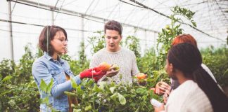 La Agricultura en Chile: Innovación para una Sostenibilidad a Largo Plazo