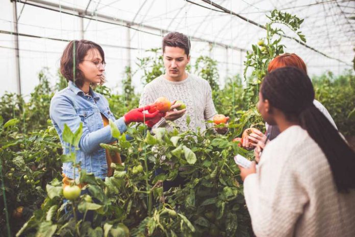 La Agricultura en Chile: Innovación para una Sostenibilidad a Largo Plazo