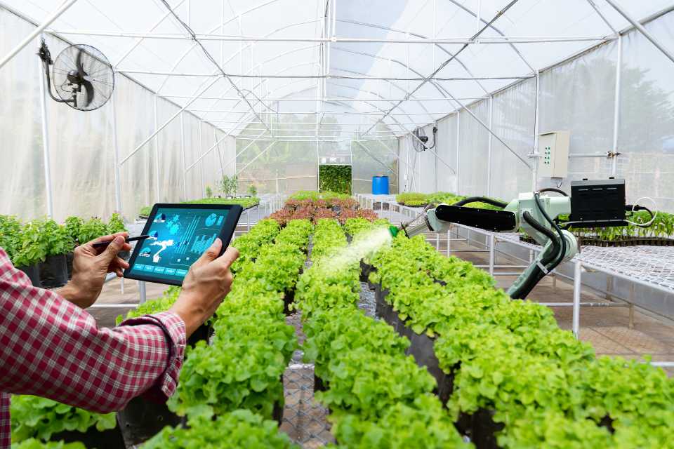 Innovación en el Juego en Línea y la Responsabilidad del Usuario. La Agricultura en Chile Innovación para una Sostenibilidad a Largo Plazo