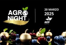 Lanzamiento de "Agronight Chile 2025": El Primer Gran Evento Nocturno de Networking del Agro