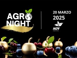 Lanzamiento de "Agronight Chile 2025": El Primer Gran Evento Nocturno de Networking del Agro