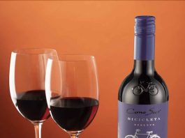 Merlot: Consejos para disfrutarlo al máximo