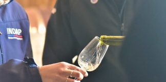 Mujeres y jóvenes serán protagonistas este 11° Concurso del Vino del Valle del Itata organizado por INDAP Ñuble