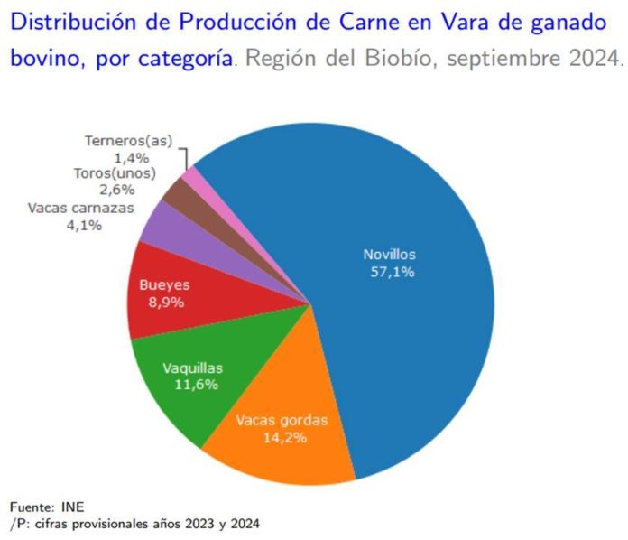 Producción de carne en vara de ganado bovino de la Región del Biobío presentó un incremento interanual de 32,7%