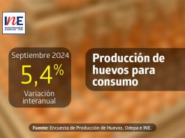 Producción de huevos de consumo presentó un aumento interanual de 5,4% en septiembre de 2024