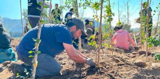 Restauración ecológica y movilización comunitaria: Frente de Río transforma la ribera del Mapocho en Talagante