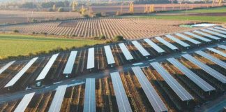 SERC Chile impulsa en el país el primer proyecto en latinoamérica que utiliza energía agrovoltaica