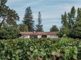 Viña Viu Manent destacada entre los mejores 20 viñedos del mundo VIÑA VIU MANENT DESTACADA ENTRE LOS MEJORES 20 VIÑEDOS DEL MUNDO