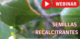 Webinar Gratuito de Semillas Recalcitrantes