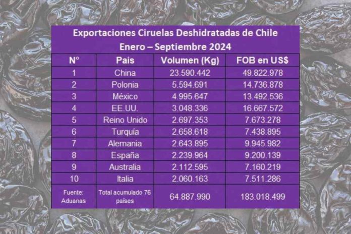 Exportaciones de ciruelas deshidratadas chilenas alcanzan, a septiembre, US$ 183 millones 