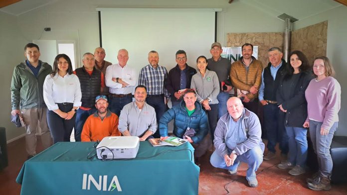 Agricultura de contrato en Aysén y Magallanes