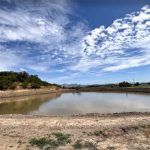 Agua Segura para el futuro de Curacaví Cosechando abundancia