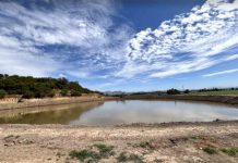 Agua Segura para el futuro de Curacaví Cosechando abundancia