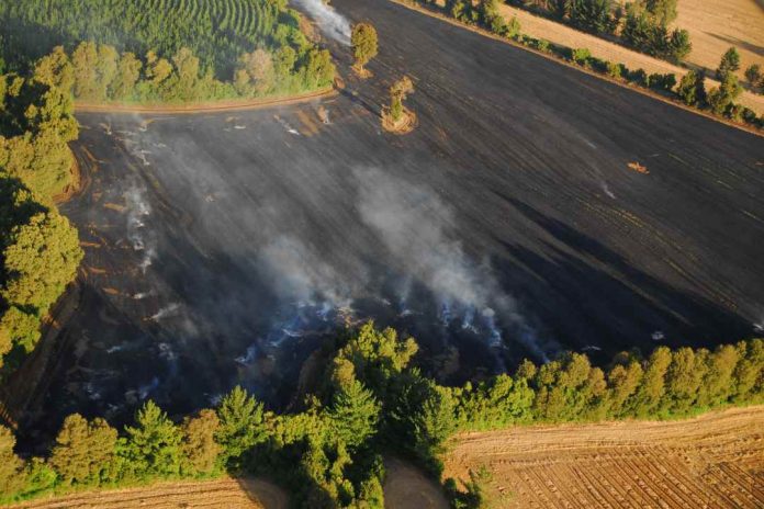 CONAF decreta restricción para el uso del fuego en nueve regiones del país